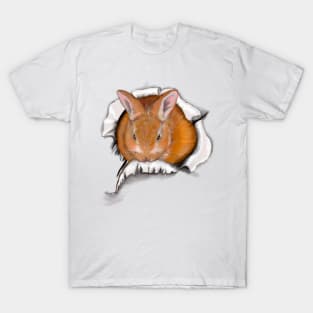 Ginger bunny rabbit bursting through hole   - cute ginger bunny rabbit white background T-Shirt